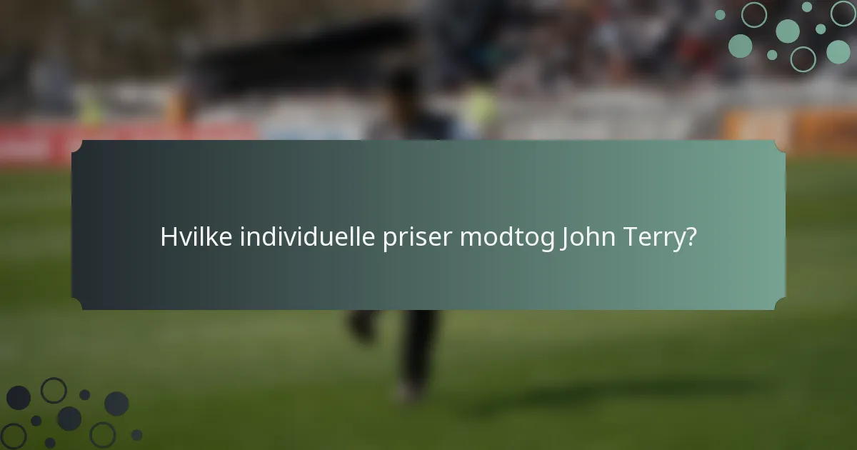Hvilke individuelle priser modtog John Terry?