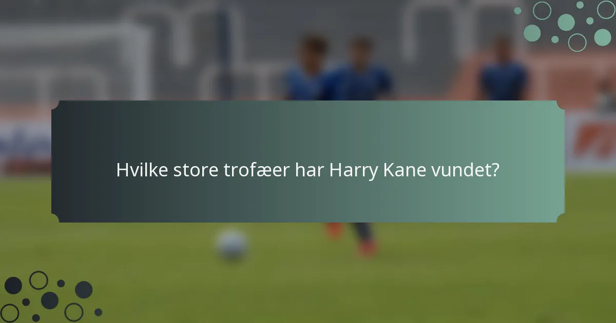 Hvilke store trofæer har Harry Kane vundet?