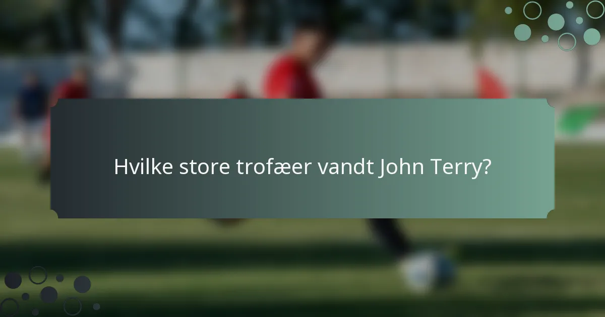 Hvilke store trofæer vandt John Terry?